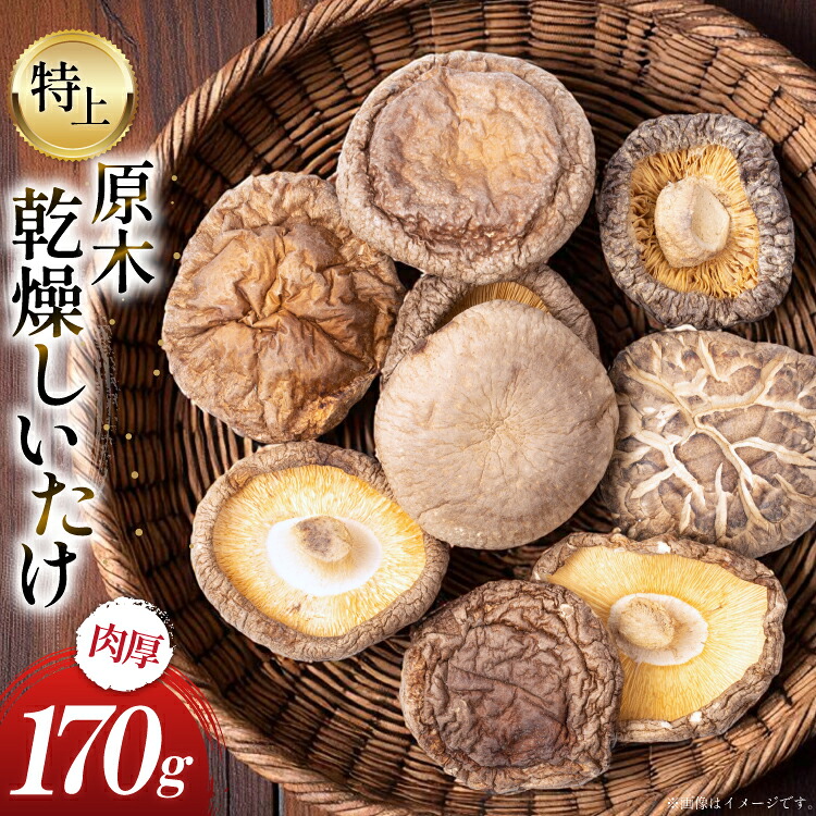 【ふるさと納税】 国産 特上 原木 乾燥 しいたけ 肉厚どんこ 170g [浜辺しいたけ 宮崎県 日向市 452061577] 椎茸 どんこ 乾燥しいたけ 乾燥椎茸