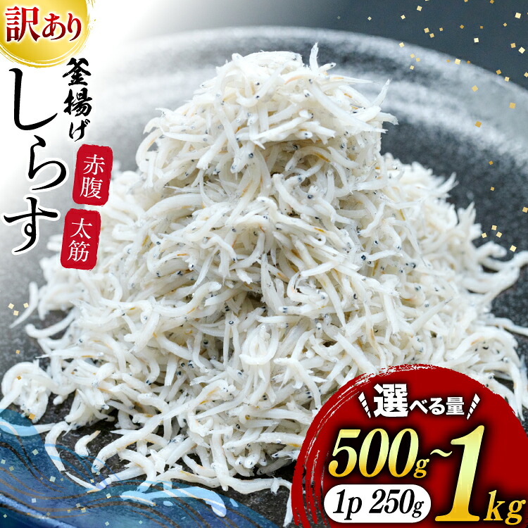 【ふるさと納税】 しらす 訳あり お船出 釜揚げしらす 選べる容量 250g 2p 計 500g or 250g 4p 計 1kg [お船出ちりめん村上屋 宮崎県 日向市 452061635] 小分け シラス 釜揚げ 冷凍 じゃこ ジャコ 訳アリ 赤腹 太筋｜宮崎県日向市