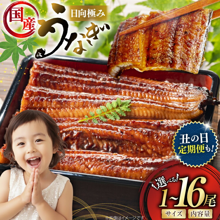 楽天市場】【ふるさと納税】 うなぎ 国産 蒲焼 選べる発送内容 1尾