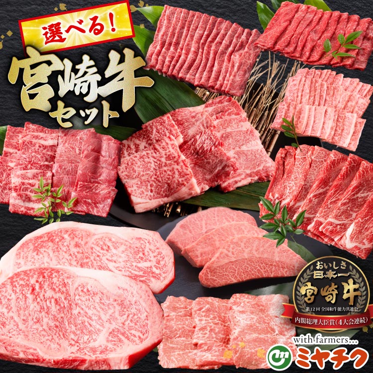 【ふるさと納税】 牛肉 選べる 宮崎牛 セット ウデ モモ バラ 肩ロース ミスジ ロース [ミヤチク 宮崎県 日向市 452061226] 冷凍 小分け A4 A5 肉 赤身 焼肉 すき焼き ステーキ しゃぶしゃぶ 薄切り 牛肉 小分け A4 A5 肉 赤身 焼肉 牛肉 宮崎牛 牛肉 宮崎牛｜宮崎県日向市