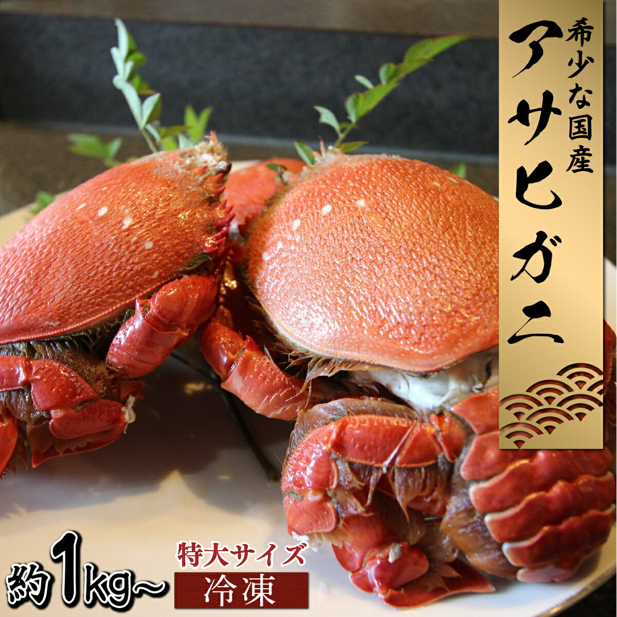 【ふるさと納税】【数量・期間限定】宮崎県串間産　アサヒガニ　特大サイズ約1kg～2kg（2～3匹）日本では大変希少な国産アサヒガニ ！【豊漁丸】【HRAGT-0】