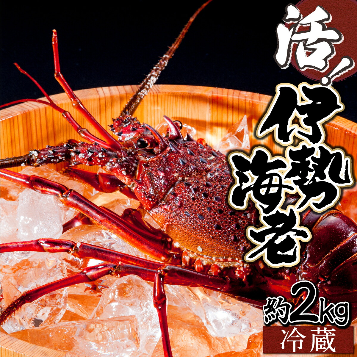 楽天市場】【ふるさと納税】＜数量限定＞宮崎県串間産伊勢エビ(計約