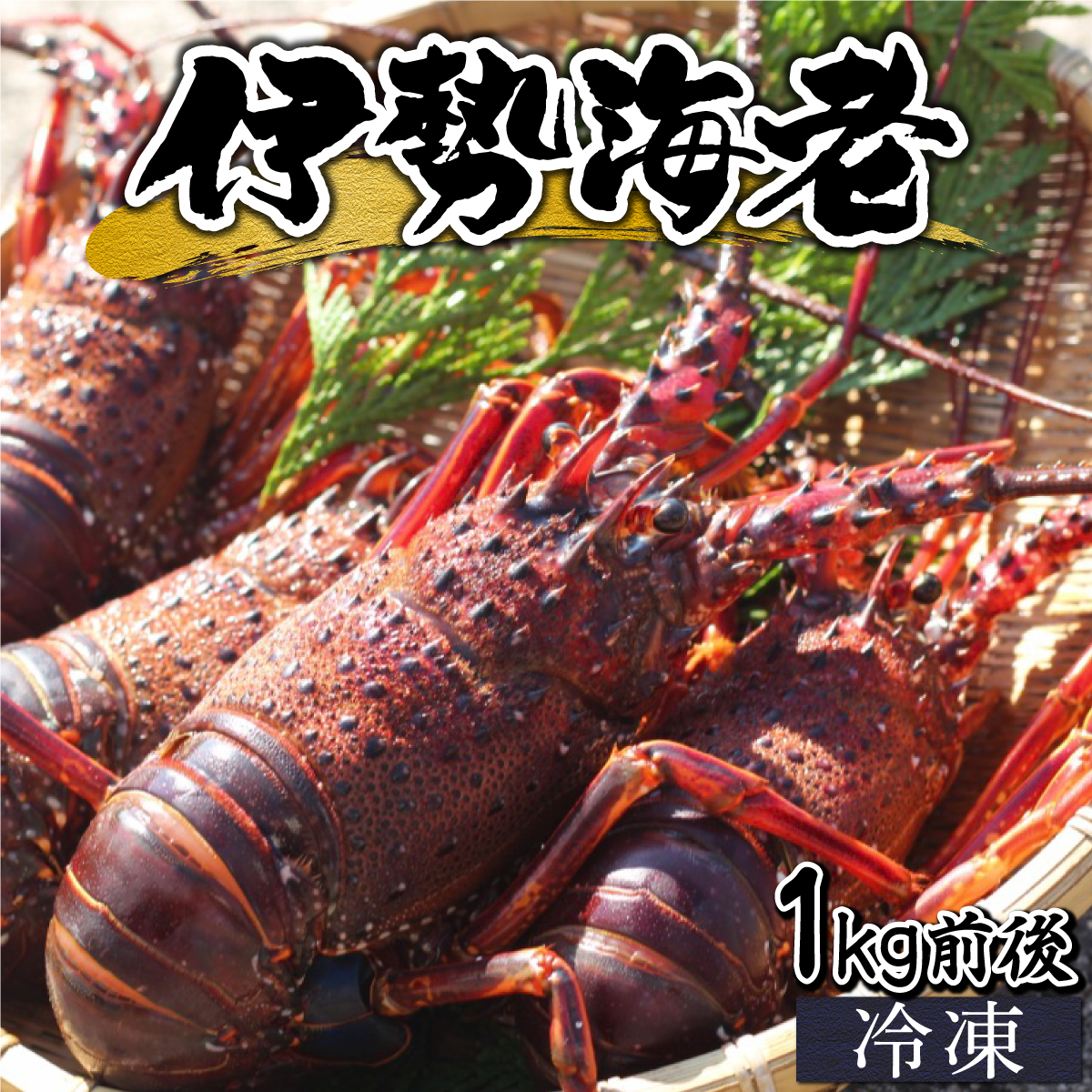 数量限定解凍後生食可冷凍伊勢海老送料込1キロ7500円‼️到着日サイズ相談可！ iky_2024sku_asadore.jpg