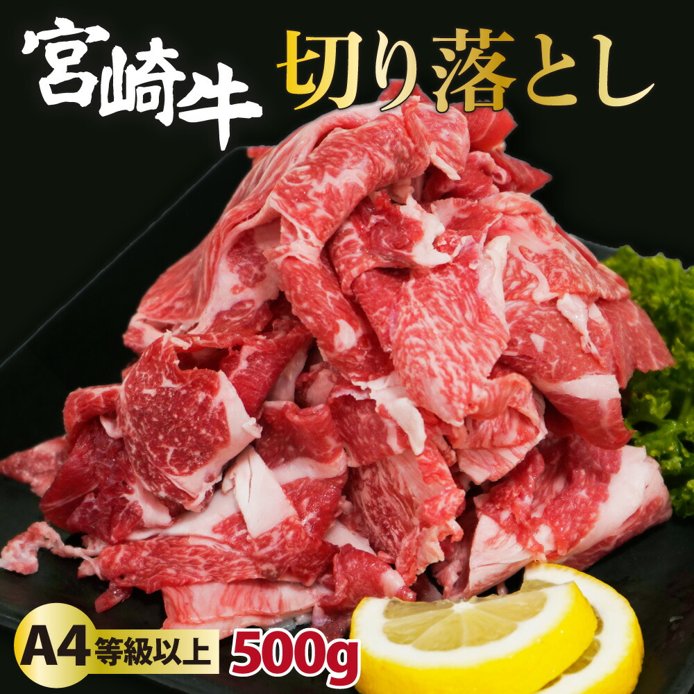 【ふるさと納税】＜冷凍＞A4等級以上！宮崎牛切り落とし(250g×2P・計500g)とろける旨み！【スーパーほりぐち】【KU207】