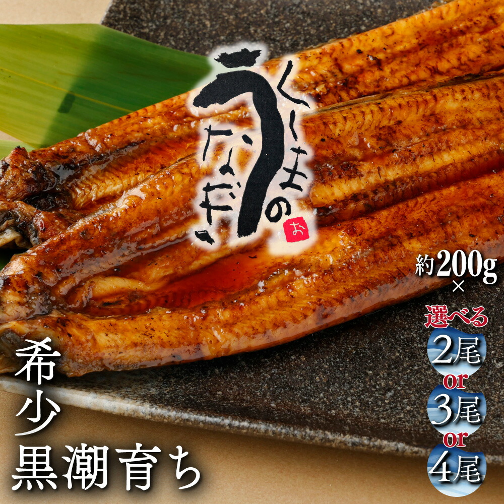 【ふるさと納税】【数量限定】選べる！くしまの黒潮うなぎ蒲焼【大田商店】【KU469】