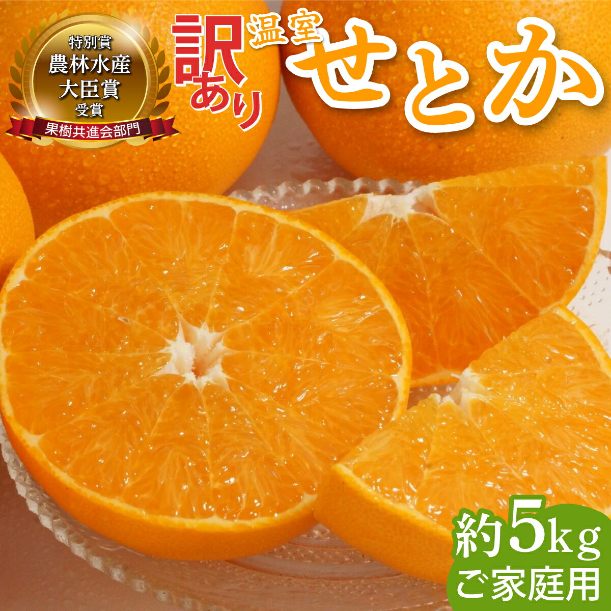 瑠威。様確認用 楽天市場】【ふるさと納税】≪期間限定・先行予約≫ 2026年1月中旬より