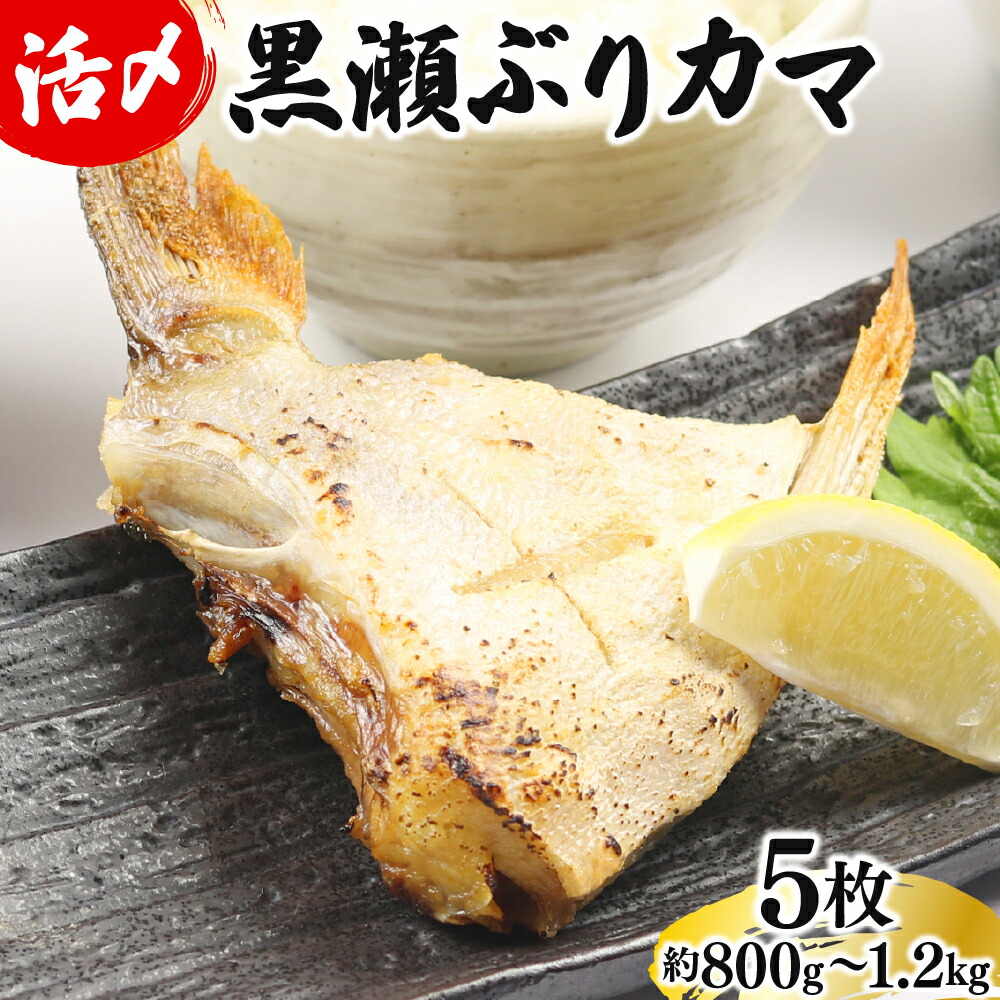 【ふるさと納税】【数量限定】活じめ！黒瀬ぶりカマ（5枚入）（800g～1.2kg前後）ぶり カマ ぶりかま 国産 ふるさと おすすめ 海鮮 特産品 お取り寄せ グルメ ギフト 塩焼き 煮付け 宮崎 セット 黒瀬ぶり 家庭用 おかず 魚 宮崎県 串間市 送料無料｜宮崎県串間市