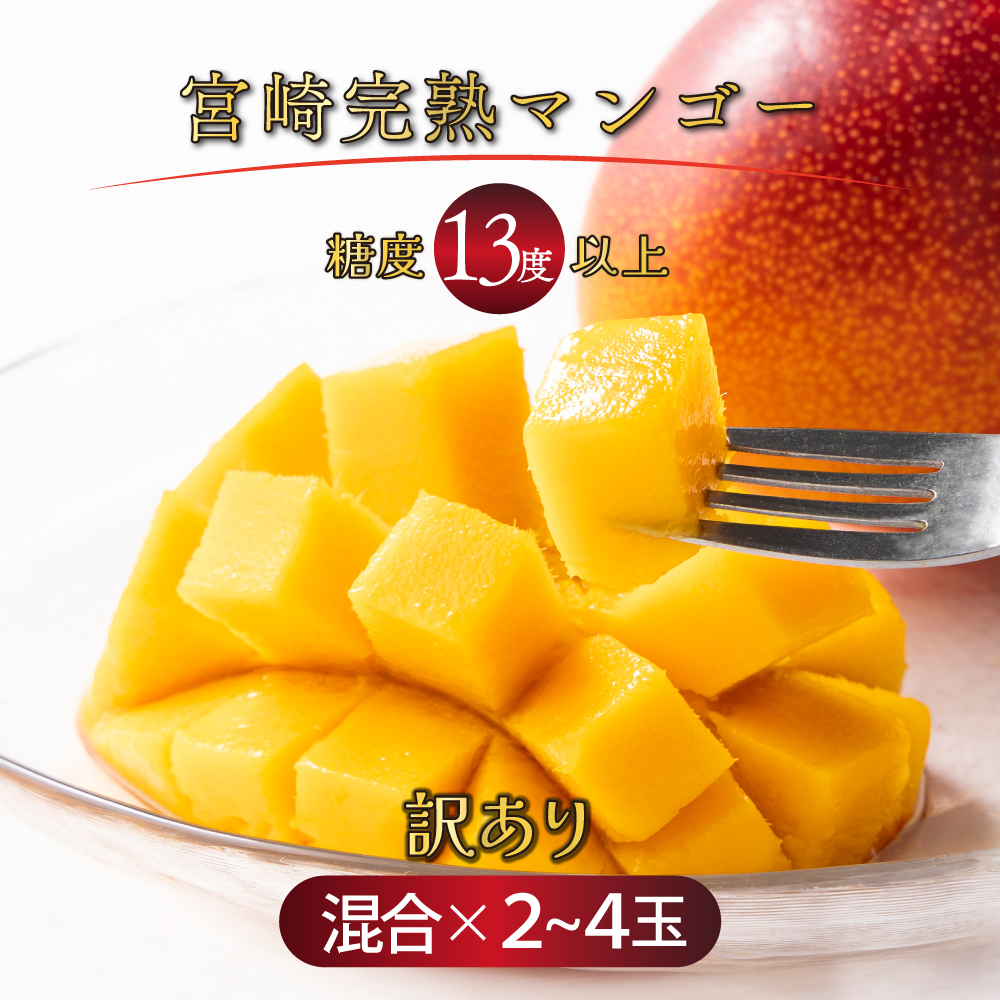 28ヤマシタマンゴー　耐寒性 28ヤマシタマンゴー 耐寒性