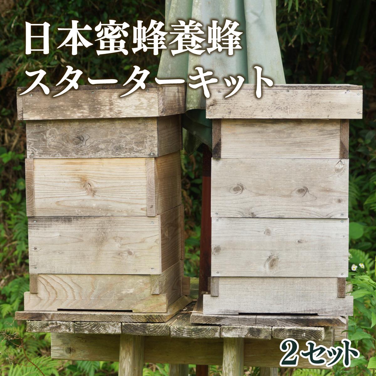 日本みつばち捕獲兼用巣箱中型 Amazon.co.jp: 巣箱：石田式 ニホンミツバチ捕獲箱【本格派向け