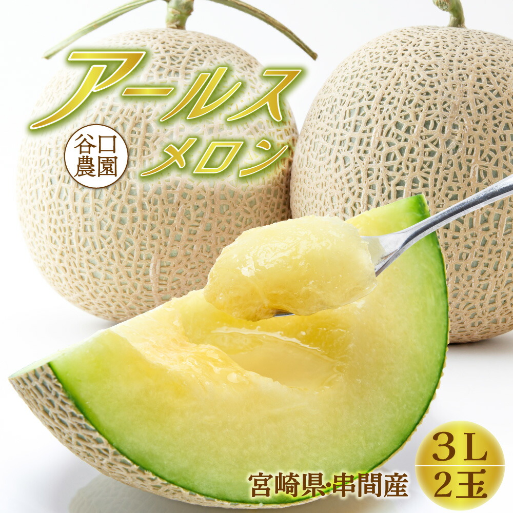 【ふるさと納税】＜先行予約・数量限定＞串間産アールスメロン3Ｌ2玉（計3.3kg以上）【谷口農園】【TNM3L】