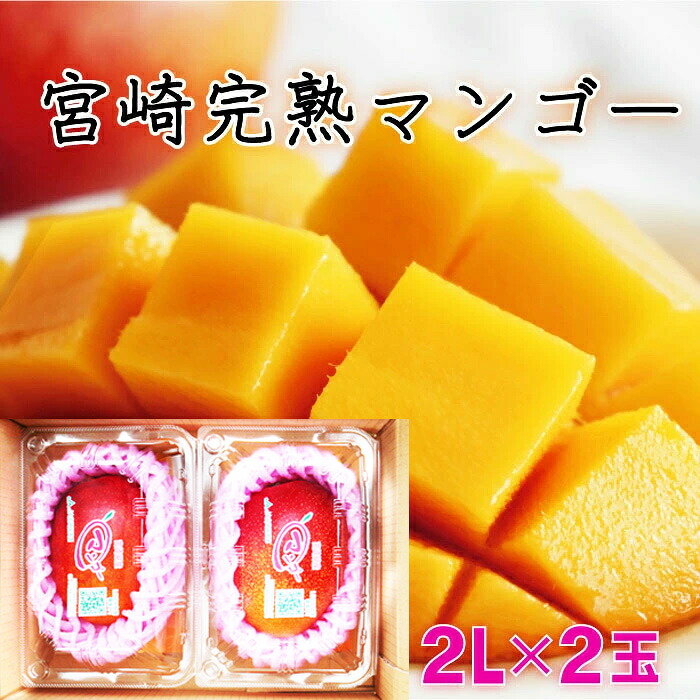 【ふるさと納税】＜先行予約＞【数量限定】みやざき完熟マンゴー 約700g以上（2Lサイズ2個入[350g～459g]×2個）果物 フルーツ おすすめ デザート スイーツ グルメ ふるさと おやつ 人気 国産 宮崎県産 宮崎 ご褒美 お祝い 果汁 甘み マンゴー 完熟 完熟マンゴー 宮崎県