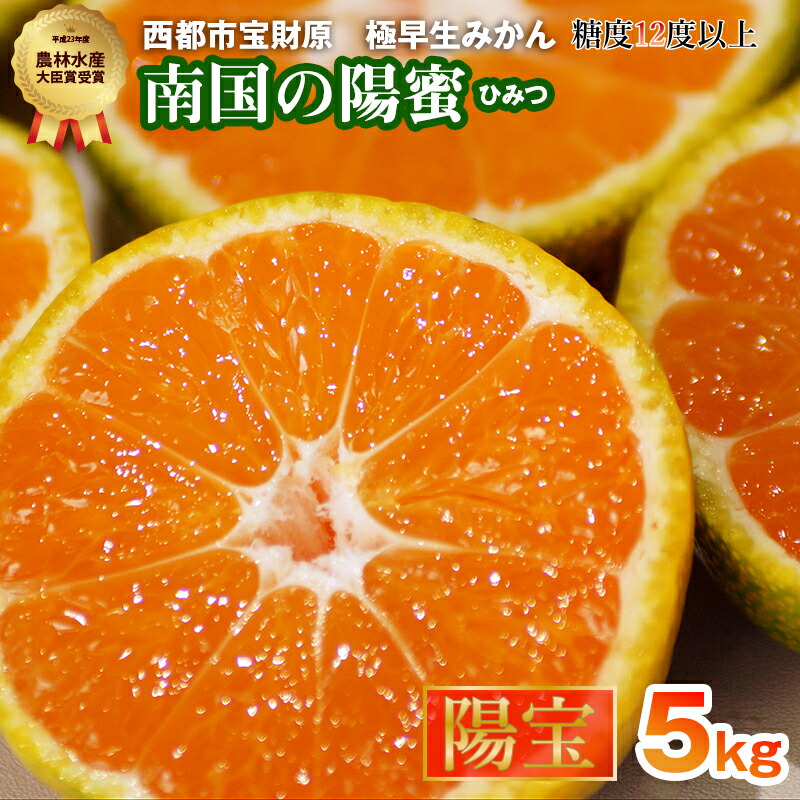 【ふるさと納税】西都産みかん「南国の陽蜜」『陽宝』５kg（宮崎県西都市 露地栽培 蜜柑 送料無料） さいと サイト