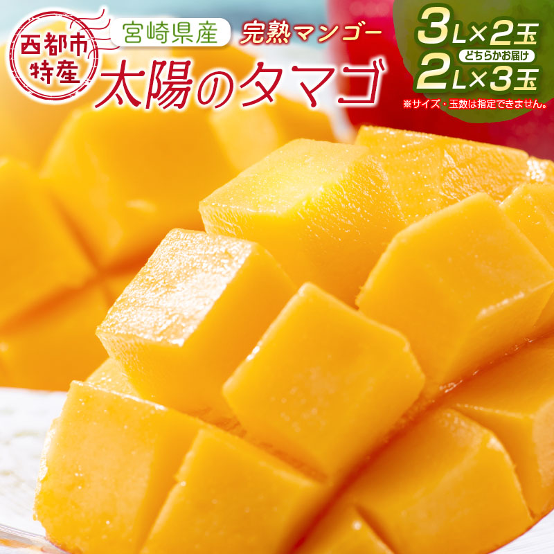 【ふるさと納税】宮崎県産 完熟マンゴー『太陽のタマゴ』（2L×3又は3L×2）西都市特産品【数量限定】西都市産【先行予約】＜3-48＞ 果物 フルーツ