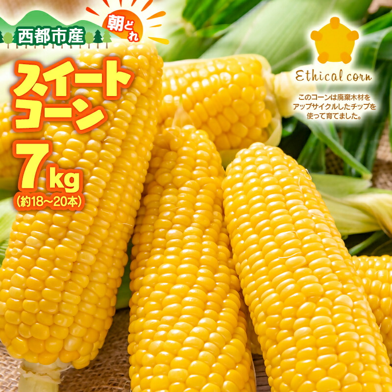 【ふるさと納税】西都市産 朝どれ『スイートコーン』7kg（約18～20本） ゴールドラッシュ 宮崎県 ふるさと納税「先行予約」令和7年収穫分