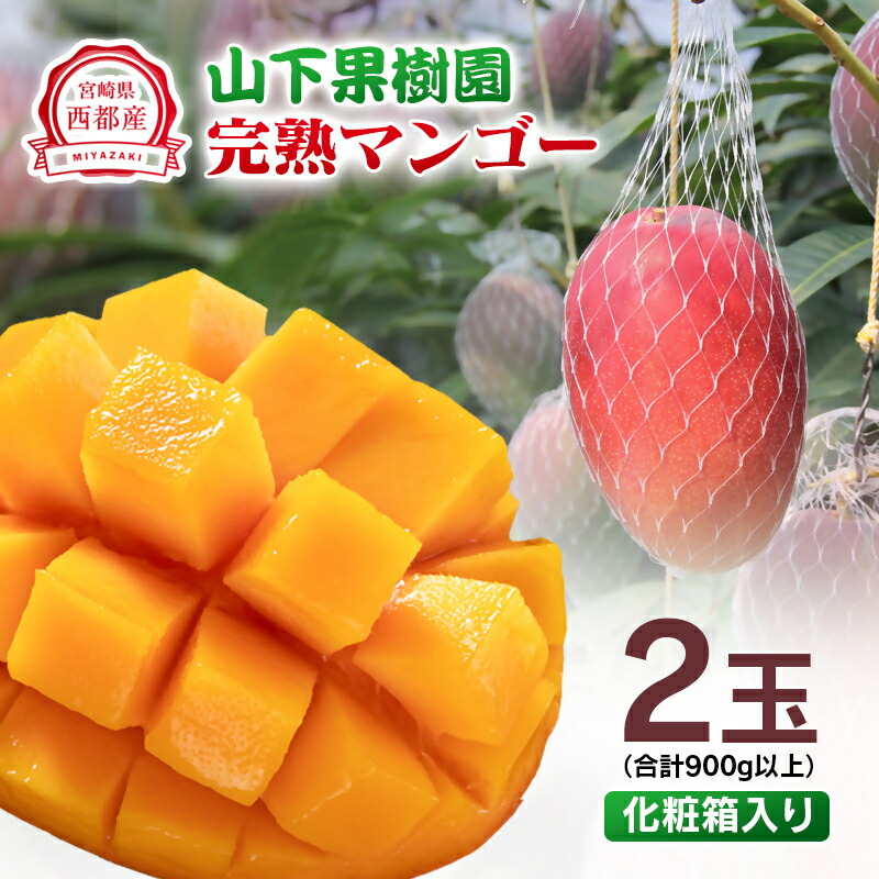 【ふるさと納税】山下果樹園 完熟マンゴー「2玉」 900g以上 宮崎県 西都産 化粧箱＜1.8-17＞令和7年収穫分 先行予約