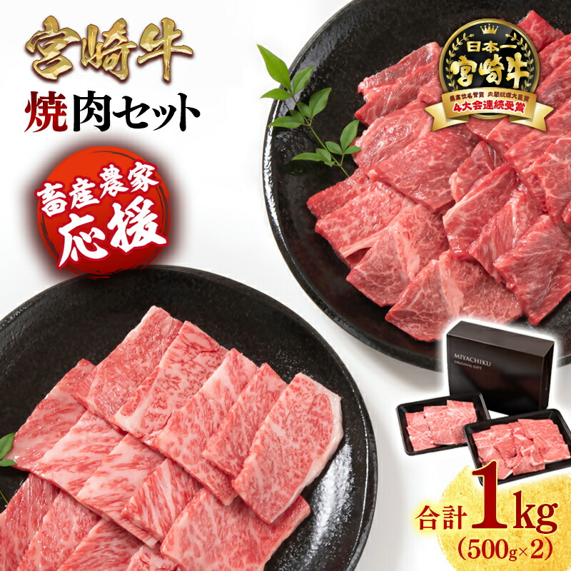 【ふるさと納税】「宮崎牛」焼肉セット 合計1kg『畜産農家応援』「数量限定」令和7年度和牛肉販売促進等支援緊急対策事業 宮崎県 西都市 赤身と肩ロース 牛 肉 牛肉 国産 ふるさと納税 宮崎牛 焼肉 黒毛和牛 数量限定 ミヤチク ＜1.7-40＞「レビューキャンペーン対象」