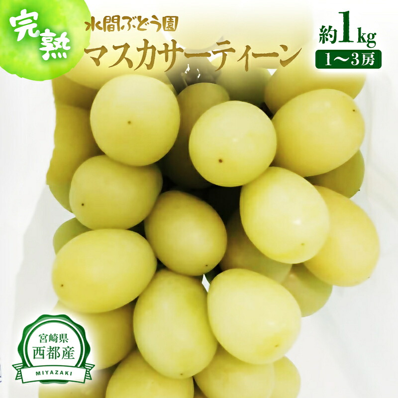 【ふるさと納税】マスカサーティーン 約1kg（1~3房） 皮ごとOK 種なし 西都産完熟ぶどう 水間ぶどう園 希少葡萄 宮崎【先行予約】＜16-6a＞