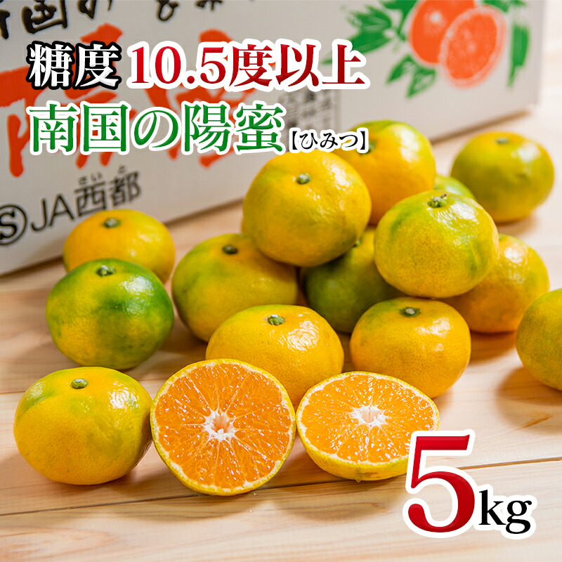 【ふるさと納税】西都市産 みかん「南国の陽蜜」５kg（宮崎県 西都市 露地栽培 極早生） さいと サイト