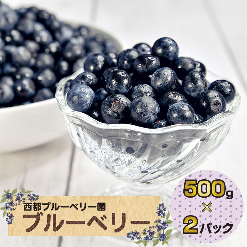 【ふるさと納税】朝採れ 生ブルーベリー1kg（250g×4）【先行予約】西都ブルーベリー園＜1.2-36＞国産 宮崎県 手摘み