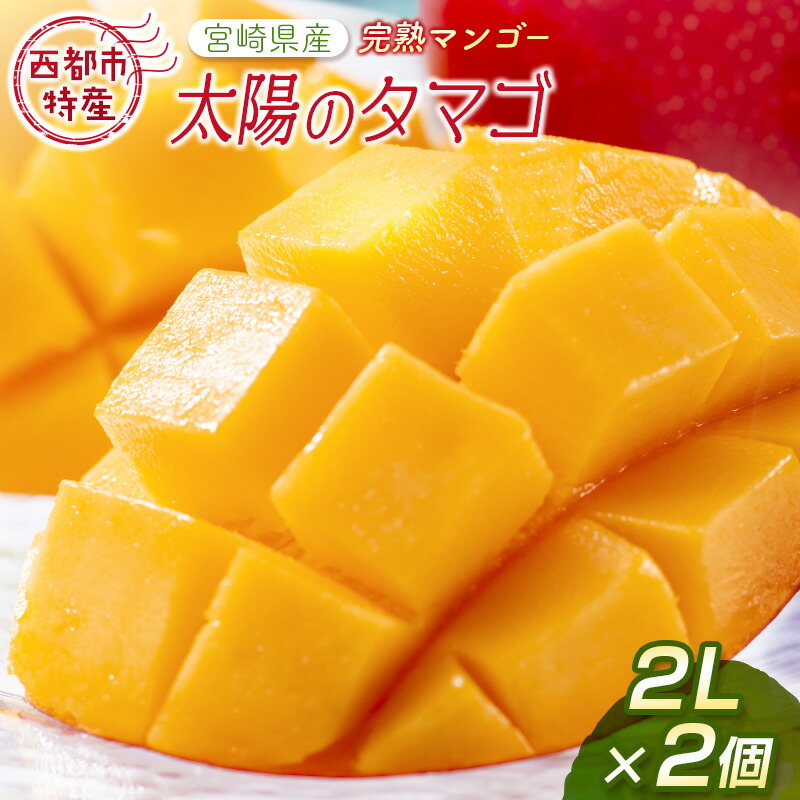 【ふるさと納税】宮崎県産 完熟マンゴー『太陽のタマゴ』2Ｌ×2個 西都市特産品【数量限定】 西都市産＜2-76＞人気 さいと サイト ふるさと 先行予約＜2-76＞ 果物 フルーツ