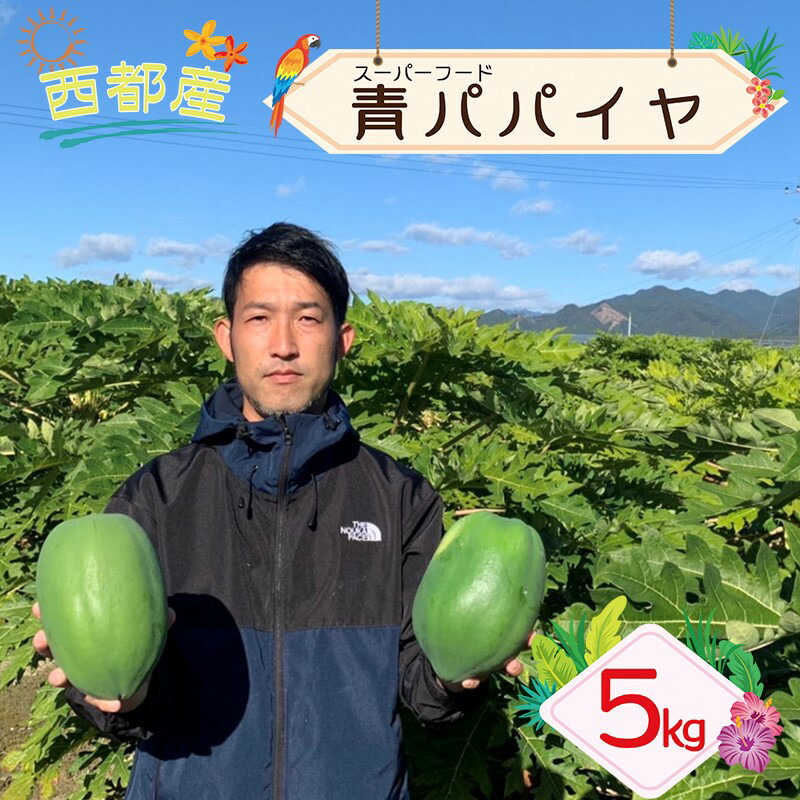 【ふるさと納税】西都市産『青パパイヤ』5kg 国産 宮崎県（4～7個）