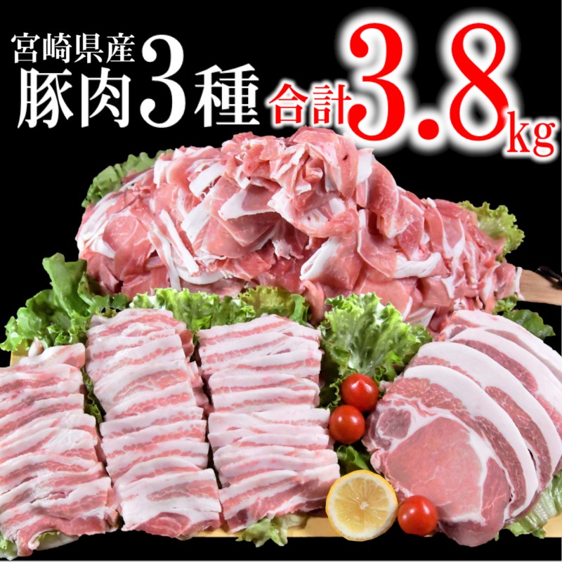【ふるさと納税】宮崎県産 豚肉【 3,800g】3種セット(ロースとんかつ・豚バラ焼肉・切り落とし)<40-2a> ふるさと納税 焼肉 豚肉 国産 訳あり 食べ比べ 小分け|宮崎県西都市
