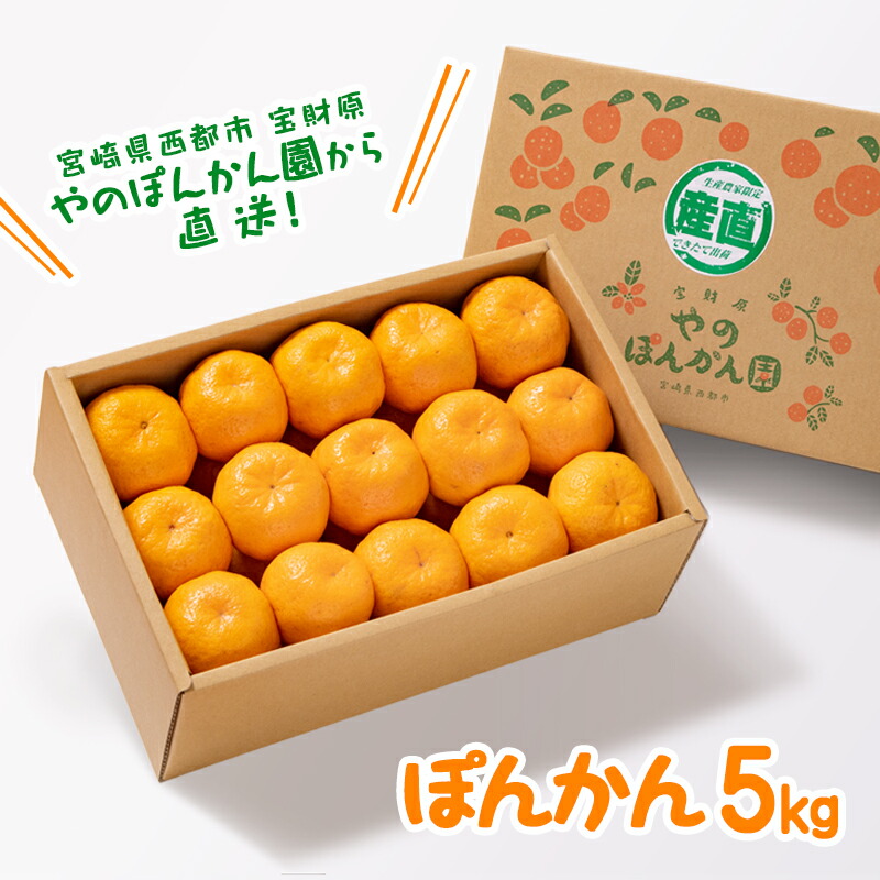 太平洋のみかん 楽天市場】【ふるさと納税】西都産みかん「南国の陽蜜」『陽宝
