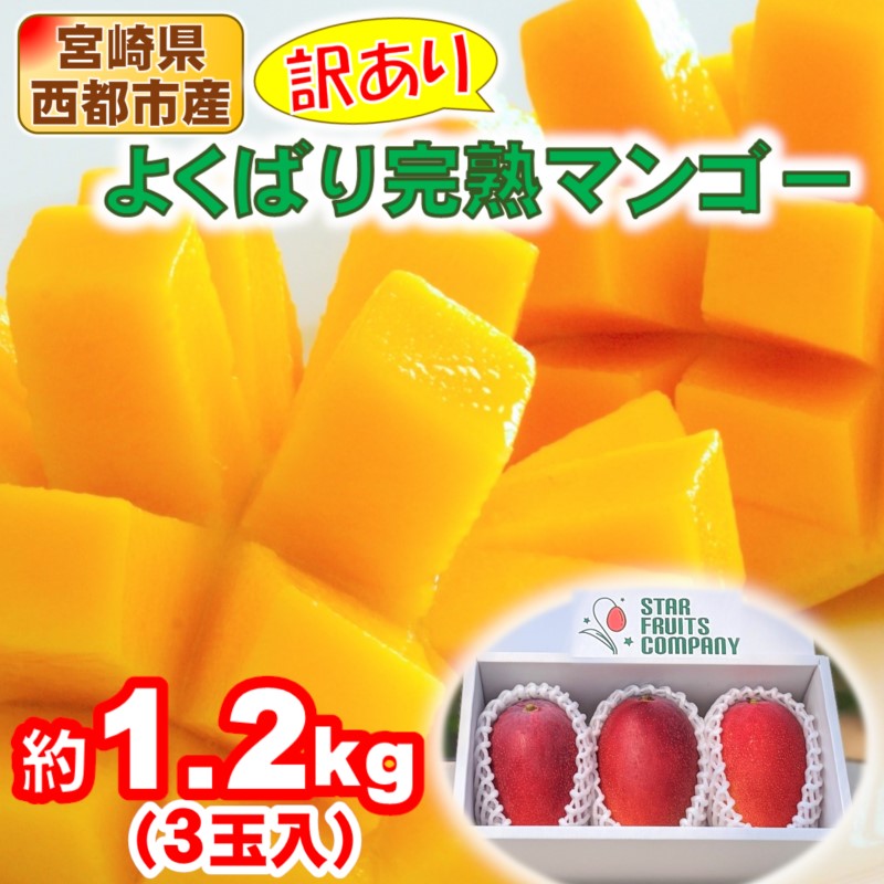 【ふるさと納税】よくばり完熟マンゴー（約1.2kg）スターフルーツカンパニー「訳あり」ご家庭用 宮崎県 西都産 宮崎完熟マンゴー ふるさと納税 訳あり＜1.7-30＞先行予約 果物 フルーツ