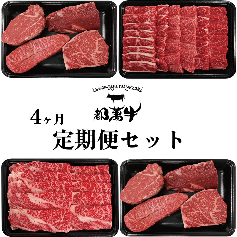 なます皿 浅鉢 龍 牡丹 松竹梅 唐草 金彩 訳あり 貫入 江戸 古伊万里