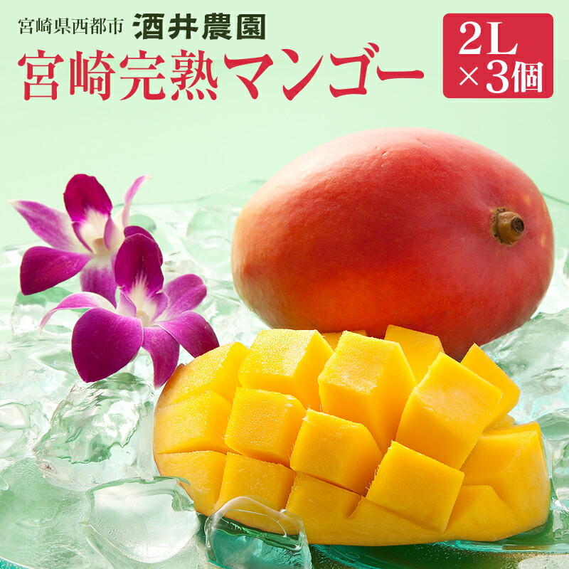 【ふるさと納税】酒井農園 宮崎完熟マンゴー2L×3個【産地直送】西都市産 さいと サイト 果物 フルーツ 先行予約【楽天限定】
