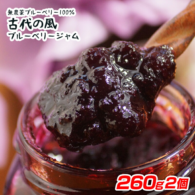 【ふるさと納税】『古代の風』国産ブルーベリージャムBig 260g×2個 宮崎県西都市産＜23-14a＞
