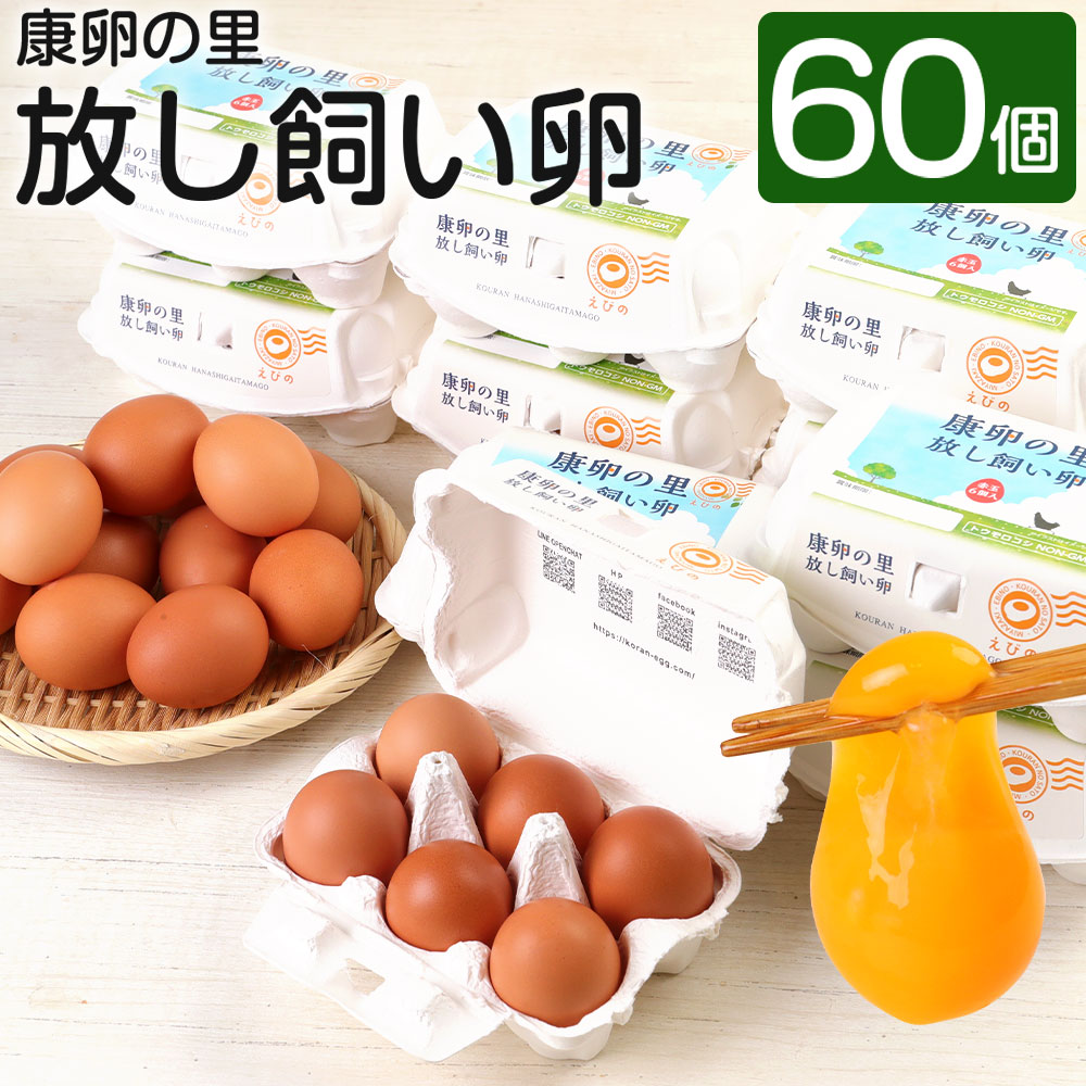 【ふるさと納税】【お届け月が選べる】卵 康卵の里「放し飼い卵」 卵60個 宮崎県えびの市産 九州産 国産 玉子 生卵 鶏卵 平飼い 放し飼い たまご タマゴ 破損保証5個含む 送料無料 卵白 卵黄 ゆで卵 卵かけごはん TKG たまごかけごはん エッグ