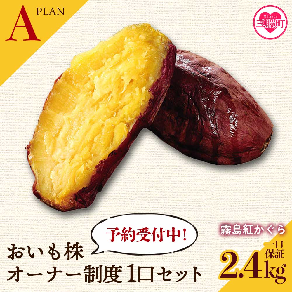 【ふるさと納税】＜【A】おいも株オーナー制度1口セット2株 霧島紅かぐら(最低2.4kg保証)＞12月中旬頃にさつまいもをお届け きりしまべにかぐら サツマイモ 芋 権利書 チケット 体験  苗植会 収穫祭【MI106-sh】【株式会社育みの里しろはと】