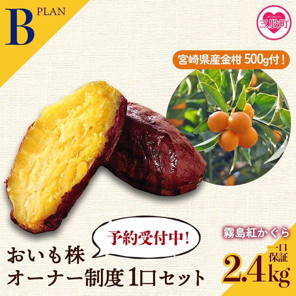 【ふるさと納税】＜【B】おいも株オーナー制度1口セット2株 霧島紅かぐら(最低2.4kg保証)+特産品＞12月中旬頃にさつまいもときんかんをお届け！サツマイモ さつま芋 権利書 チケット 甘い デザート【MI187-sh】【株式会社育みの里しろはと】