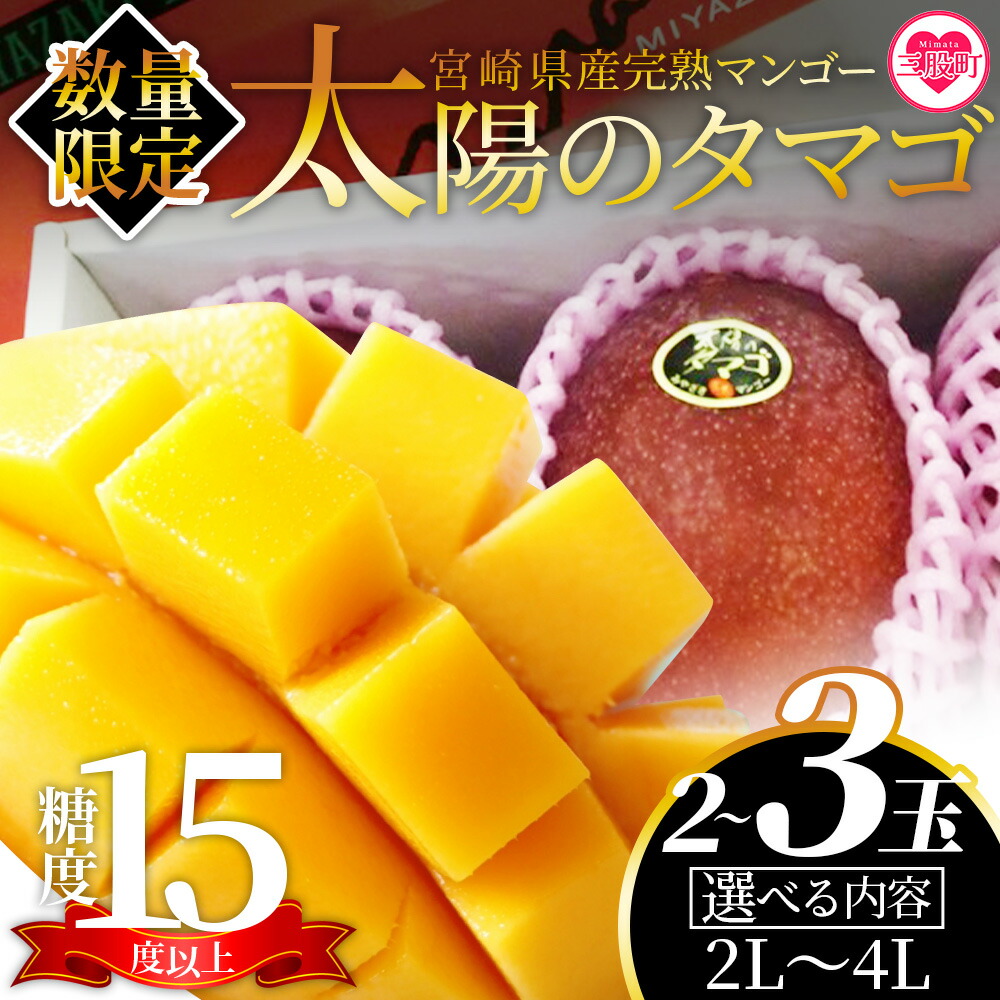 【ふるさと納税】先行予約【期間数量限定】2025年5月発送＜宮崎県産完熟マンゴー 太陽のタマゴ＞2～3玉入 2L～4L 大玉 国産 九州 宮崎 マンゴー 完熟 旬 夏 果物 フルーツ セット冷蔵配送 果実 高級 【B-0606-yk-x1】【みまたんよかもん協同組合】