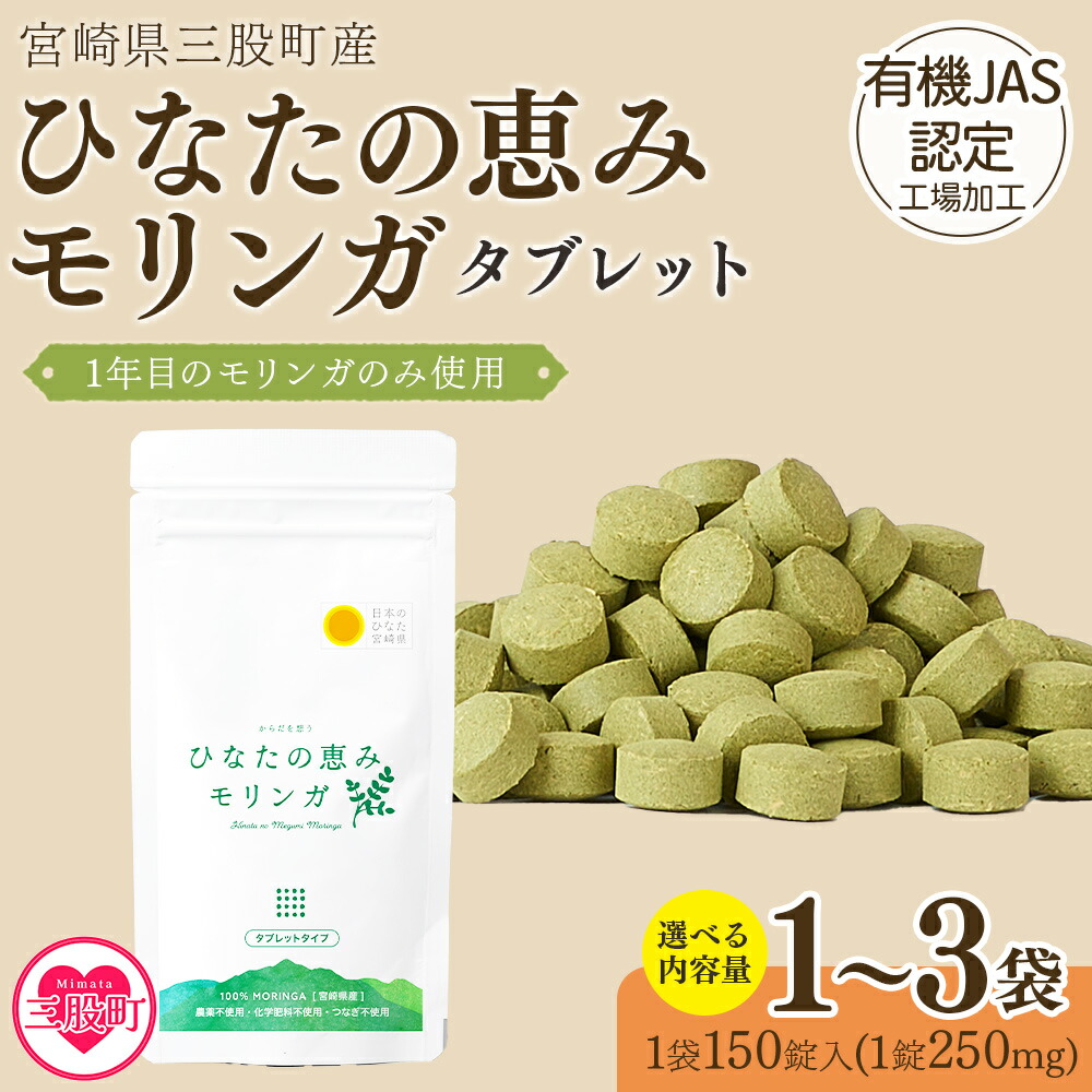 宮崎県産杉遊び道具特集