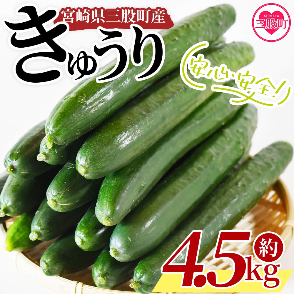 きゅうり 楽天市場】【ふるさと納税】＜内容量が選べる！＞宮崎県産きゅうり(2.5