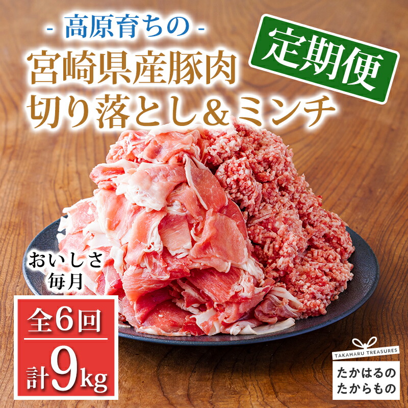 【ふるさと納税】定期便6回 豚肉詰め合わせ《大容量！寄付金45,000円で合計9kg》国産 豚肉 豚肉切り落とし&ミンチ 9000g お弁当 豚肉2種詰め合わせセット しゃぶしゃぶ ハンバーグ 宮崎県 高原町 日本産 6ヶ月 送料無料 故郷納税 45000円 4万円台 四万円台