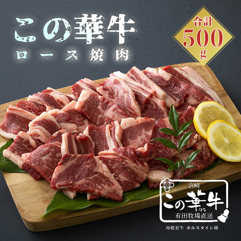 【ふるさと納税】お肉 牛肉 宮崎県産 高原有田牧場直送 この華牛 ロース焼肉 (500g) 自然豊かな牧場育ち 甘みある脂はヘルシーで軽やか 赤身肉はコク深くもちもち赤身部分が味が強く幅広いメニューで使える 産地直送 産直 贈答 ギフト 送料無料 国産 九州産 13000円 1万円台｜宮崎県高原町