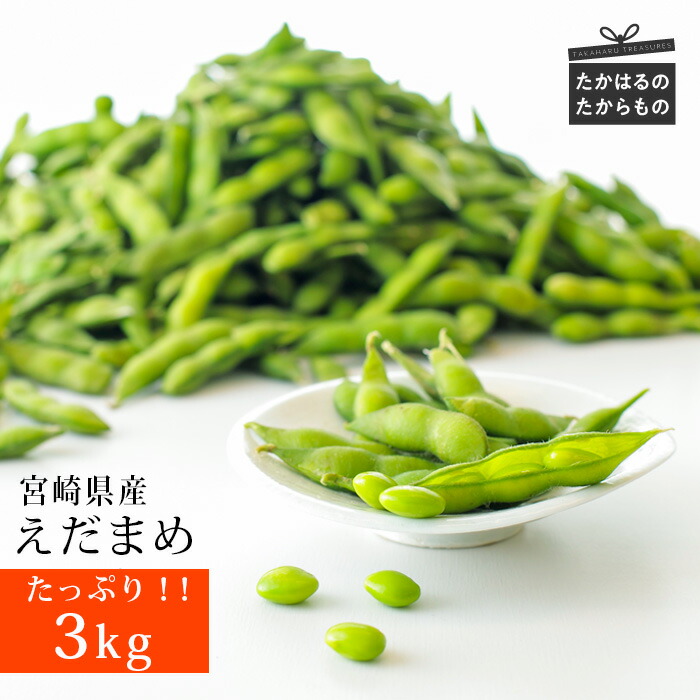 【ふるさと納税】九州産えだまめ(3kg)500g×6袋 自社農園からの獲れたてをその日に加工  旨み甘みたっぷり 宮崎県高原町 安全・安心 新鮮 枝豆  茶豆 おつまみ 故郷 納税 晩酌 ビール お酒 ストック 送料無料 1か月でお届け 冷凍 国産 日本産 返礼品 10000円 1万円 父の日