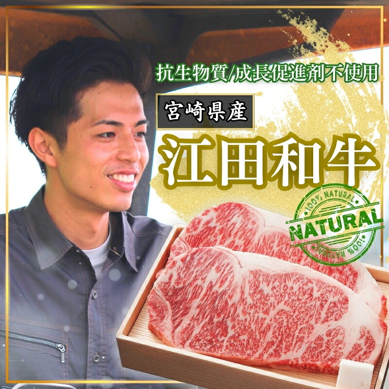 【ふるさと納税】牛肉 お肉 国産 九州産 黒毛和牛 厳選 江田和牛サーロインステーキセット600g(200g×3枚) 抗生物質・成長促進剤不使用 内閣総理大臣賞受賞 贈答用 希少 冷凍 ギフト ブランド牛 A5 送料無料 宮崎県 高原町 故郷納税 オンラインワンストップ対応 45000|宮崎県高原町