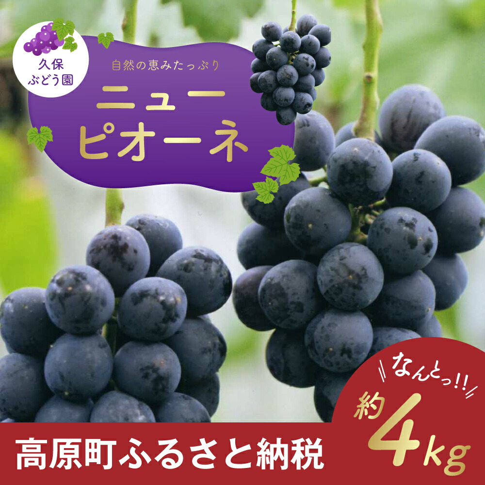 ふるさと納税 久保ぶどう園の ニューピオーネ 約4kg ぶどう 1ページ ｇランキング