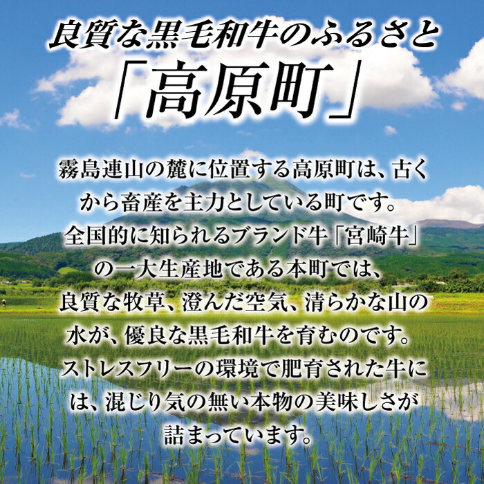 【ふるさと納税】宮崎県産『黒毛和牛ステーキ・スライス・切り落としセット(900g)』赤身お肉牛肉ボリューム満足感バリエーション3種黒毛和牛Aセット送料無料