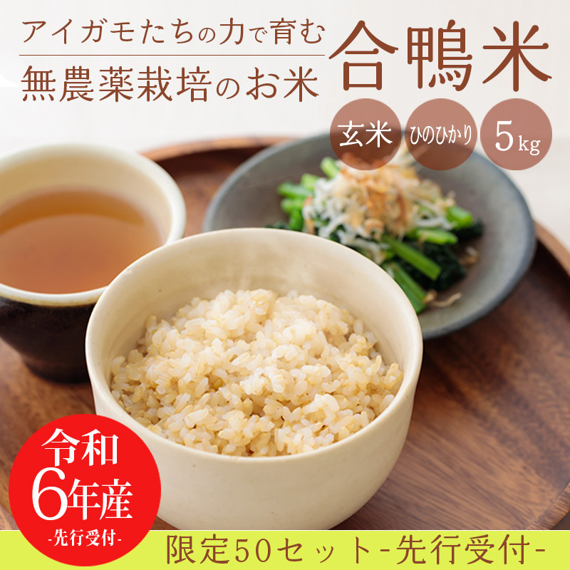 当社の ふるさと納税 高原町 高原町産 無農薬合鴨米 玄米 5.5kg 特産品