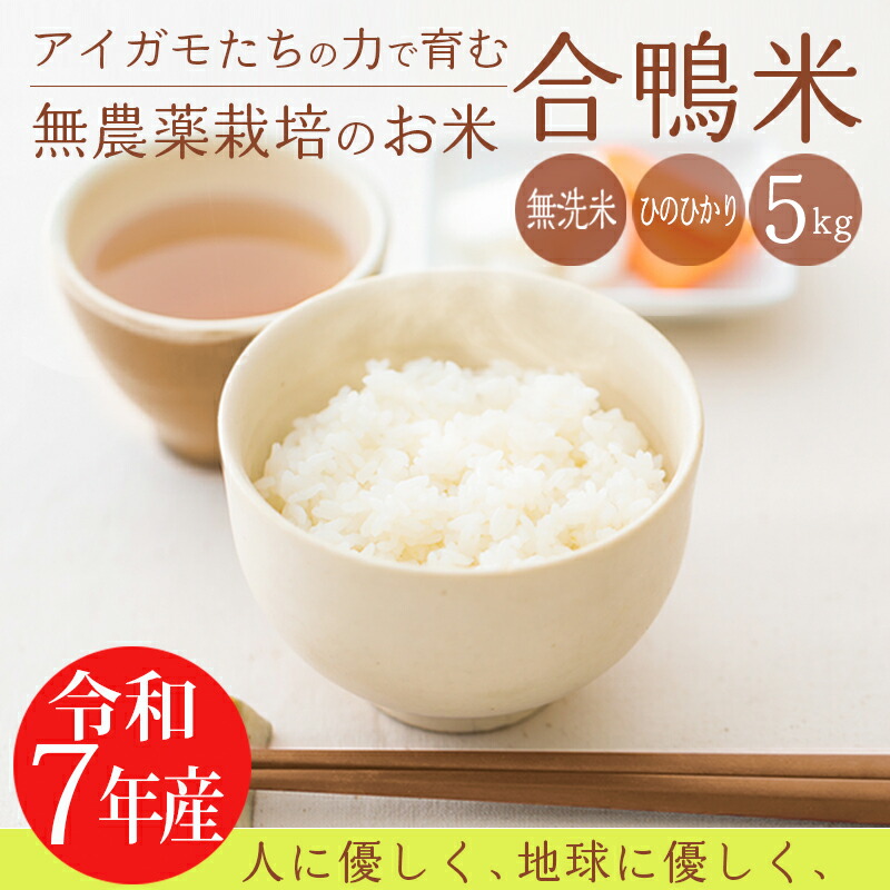 楽天市場】【ふるさと納税】宮崎県産 玄米パックごはん150g×10