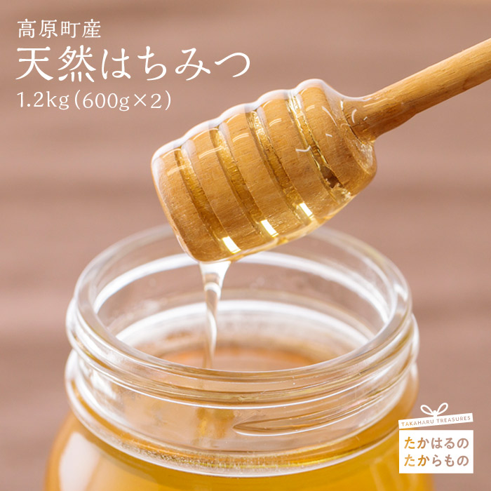 【ふるさと納税】宮崎県産特選 天然はちみつ1.2kg(600g×2)  -霧島高原の蜂蜜- 霧島山麓の大地で育った菜種やレンゲ等の各種の花の蜜がふんだんに入った、一度口にしたら忘れられない味 国産 日本産 ハニー 送料無料  故郷 納税 返礼品 オンラインワンストップ対応 17000円