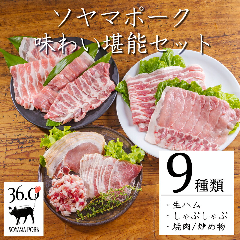【ふるさと納税】豚肉 国産 九州産 ソヤマポークの味わい堪能セット全9種類(生ハム しゃぶしゃぶ 焼肉・炒め物用) 1.1kg 小分け 使いきり包装 9パック 口の中ですっと溶けていく上質な脂 溢れだす旨味と甘味 日々の献立、晩酌にぴったり 宮崎県 高原町 送料無料 14000円|宮崎県高原町