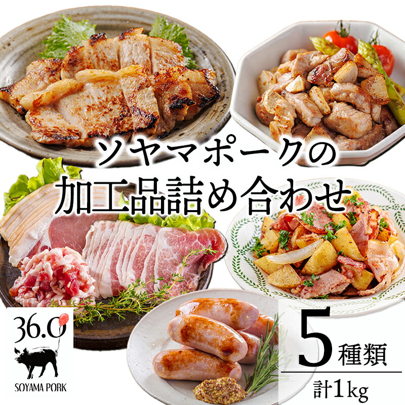 【ふるさと納税】ソヤマポークの加工品詰め合わせ ５種類 計1kg 小分け セット 口の中ですっと溶けていく上質な脂 溢れだす旨味と甘味 豚肉 日々の献立やお弁当にもぴったり 国産 宮崎県 高原町 送料無料 13000円