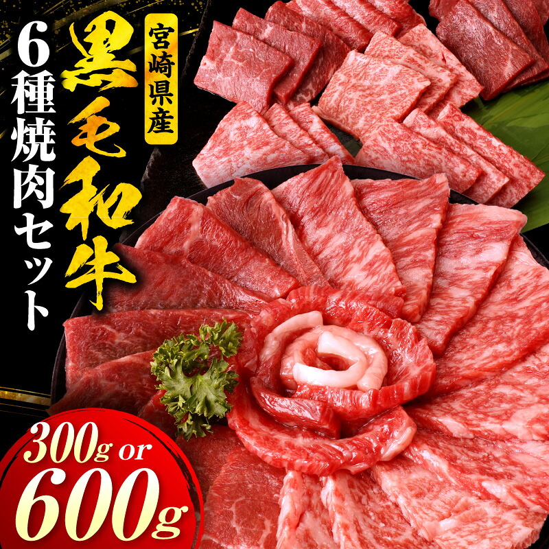 【ふるさと納税】【選べる内容量】宮崎県産黒毛和牛(経産)6種焼肉セット | 黒毛和牛 牛肉 肉 サーロイン リブロース 肩ロース ウデ バラ モモ 焼肉 バーベキュー BBQ 濃厚 プレゼント 贈答 贈り物 ギフト|宮崎県国富町