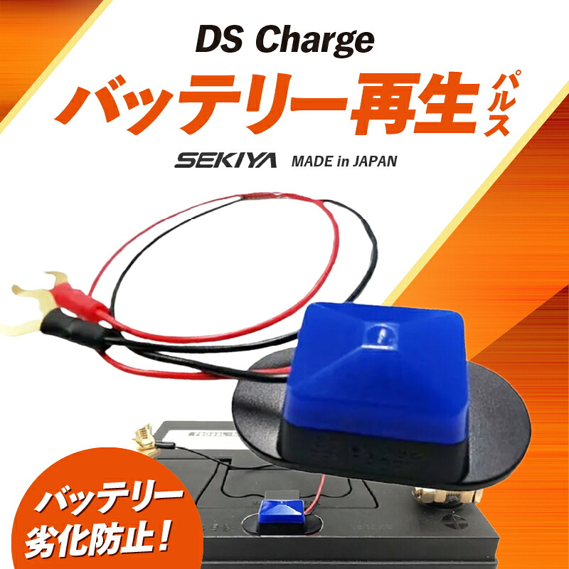 【ふるさと納税】超小型心臓の鼓動 DS Charger蓄電池生まれ変わり心臓の鼓動